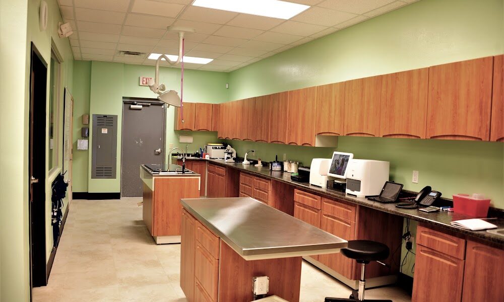 Companion Care Pet Hospital