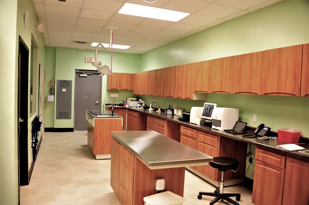Companion Care Pet Hospital