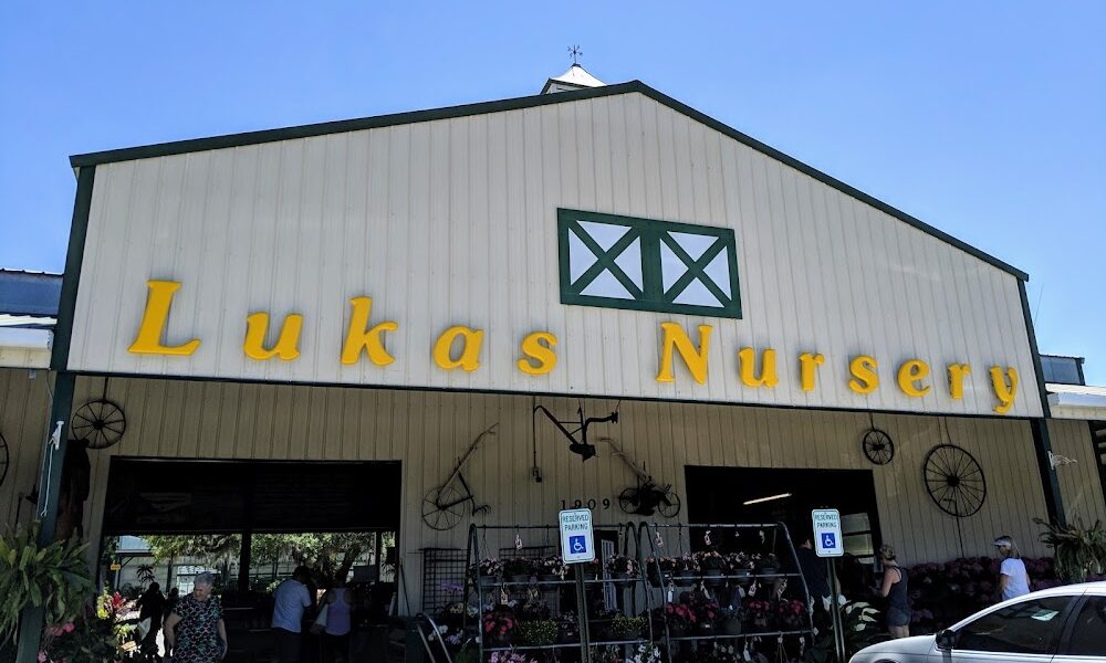 Lukas Nursery & Butterfly Encounter